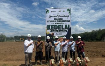 PTPN IV PalmCo Matangkan Pilot Project Kedelai Dukung Percepatan Swasembada Pangan Nasional