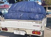Bawa 2.450 Liter Solar Bersubsidi, Satu Unit Pick Up Diamankan Polisi di Tilamuta