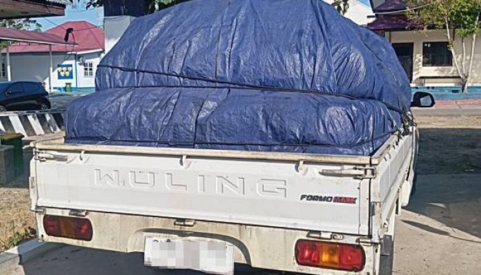Bawa 2.450 Liter Solar Bersubsidi, Satu Unit Pick Up Diamankan Polisi di Tilamuta