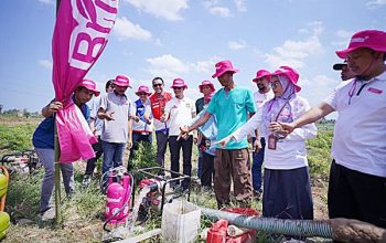 Bright Gas Didorong Jadi Pilihan Energi Petani Gowa untuk Pompa Irigasi