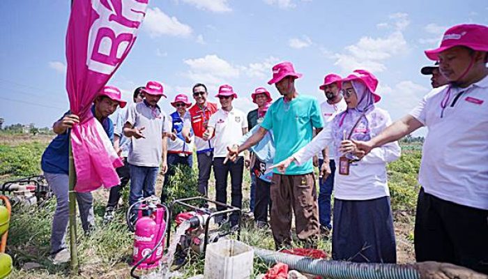 Bright Gas Didorong Jadi Pilihan Energi Petani Gowa untuk Pompa Irigasi