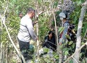 Jatuh ke Jurang 20 Meter, Brimob Gorontalo Evakuasi Empat Korban Kecelakaan di GORR