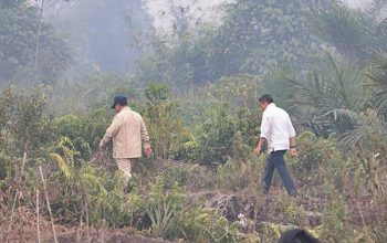Polri Tetapkan 72 Tersangka Karhutla di Sembilan Daerah