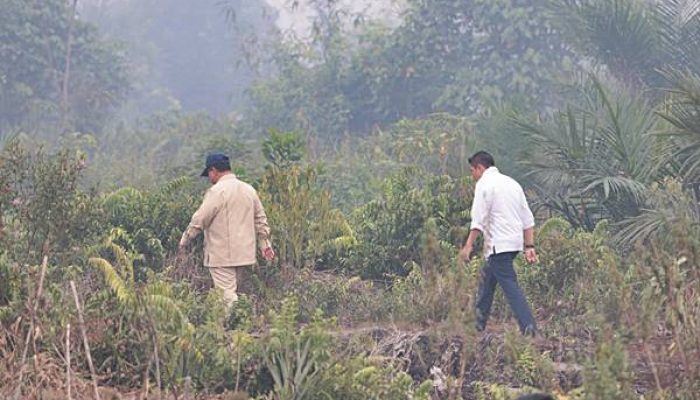 Polri Tetapkan 72 Tersangka Karhutla di Sembilan Daerah