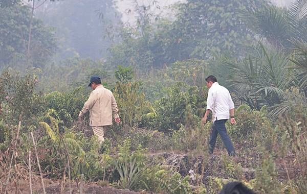 Polri Tetapkan 72 Tersangka Karhutla di Sembilan Daerah