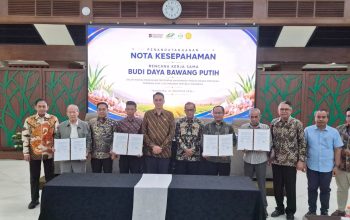 PTPN Group Akselerasi Swasembada Bawang Putih Nasional