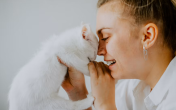 Kenali 8 Penyebab dan Cara Mengatasi Kucing Menangis