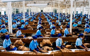 Holding Perkebunan Nusantara Dukung Penciptaan Lapangan Kerja, PTPN I Serap 15–20 Ribu Pekerja di Pabrik Tembakau