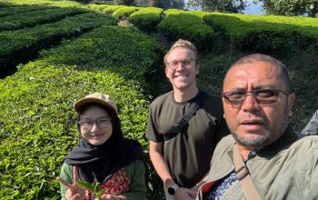 Holding Perkebunan Nusantara Dorong Promosi Global, Kebun Rancabali PTPN I Jadi Sorotan Media Amerika Serikat
