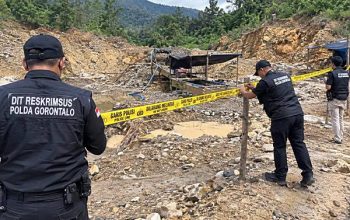 Ditreskrimsus Polda Gorontalo Gerebek PETI Bonbol, Batu Hitam Tujuan Jakarta Diusut