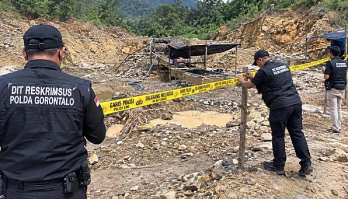 Ditreskrimsus Polda Gorontalo Gerebek PETI Bonbol, Batu Hitam Tujuan Jakarta Diusut