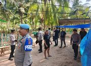 Polisi Gerebek Lokasi Diduga Judi Sabung Ayam di Paguat, Ratusan Orang Lari Terbirit-birit