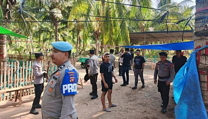 Polisi Gerebek Lokasi Diduga Judi Sabung Ayam di Paguat, Ratusan Orang Lari Terbirit-birit