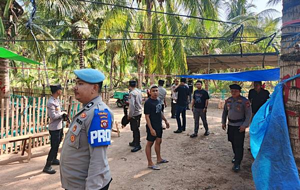 Polisi Gerebek Lokasi Diduga Judi Sabung Ayam di Paguat, Ratusan Orang Lari Terbirit-birit