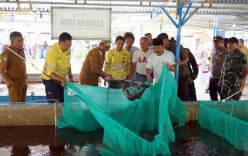 Sinergi Pemda Halmahera Utara dan NHM Peduli: Dorong Kemandirian Pangan Melalui Sukses Budidaya Bioflok BUMDes Sadaka Farm