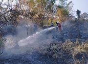 BPBD Provinsi Gorontalo Kerahkan Satgas Tangani Karhutla di Bone Pantai