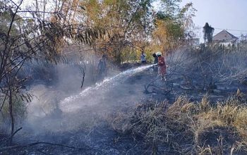 BPBD Provinsi Gorontalo Kerahkan Satgas Tangani Karhutla di Bone Pantai