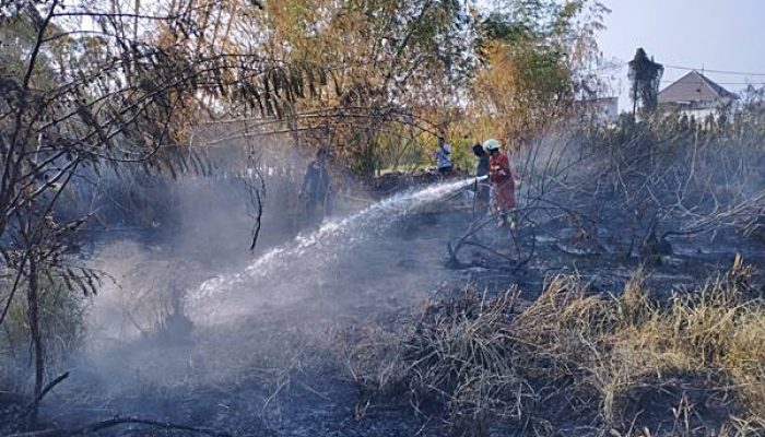 BPBD Provinsi Gorontalo Kerahkan Satgas Tangani Karhutla di Bone Pantai