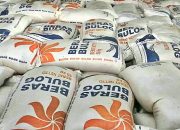 BULOG Pecahkan Rekor, Pengadaan Beras Tembus 4,1 Juta Ton