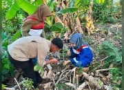 Enam Flora Ditemukan, Pertamina Patra Niaga dan Kebun Raya Pucak Perkuat Konservasi
