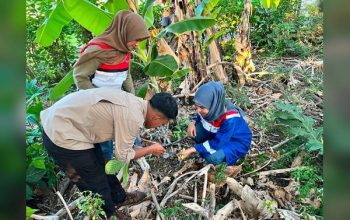 Enam Flora Ditemukan, Pertamina Patra Niaga dan Kebun Raya Pucak Perkuat Konservasi