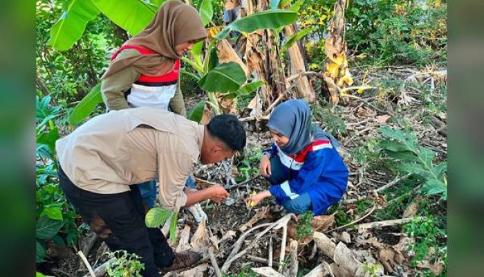 Enam Flora Ditemukan, Pertamina Patra Niaga dan Kebun Raya Pucak Perkuat Konservasi