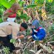 Enam Flora Ditemukan, Pertamina Patra Niaga dan Kebun Raya Pucak Perkuat Konservasi