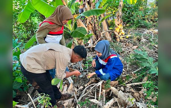 Enam Flora Ditemukan, Pertamina Patra Niaga dan Kebun Raya Pucak Perkuat Konservasi