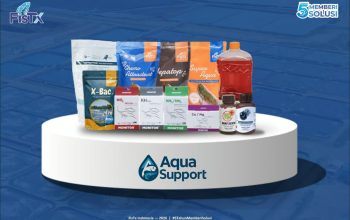 FisTx Hadirkan Aqua Support, Solusi Saat Siklus Budidaya Udang Sedang Berjalan
