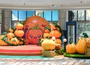 The Fluffy Pumpkin Fest, Keseruan Halloween di Hublife