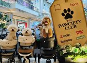 The Pawciety Club Bawa Dunia Dog Lovers ke PIK Avenue The Pawciety Club Bawa Dunia Dog Lovers ke PIK Avenue