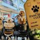 The Pawciety Club Bawa Dunia Dog Lovers ke PIK Avenue